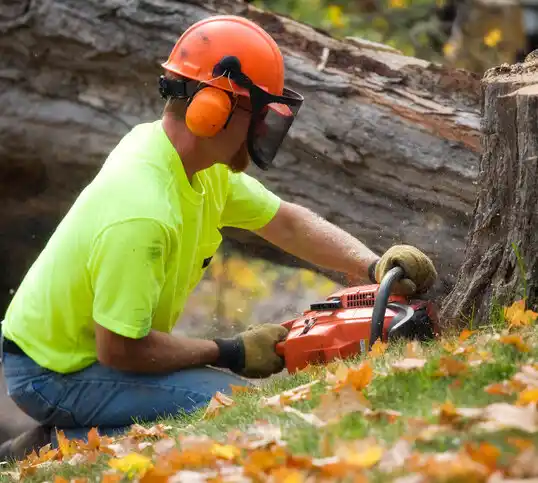 tree services Trimble